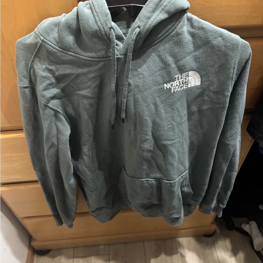 The North Face Men's Teal Hoodie